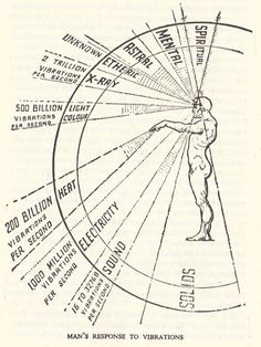 Because dimensions are based on a range of frequencies, eventually this will be true. When the Earth’s frequency increases to the level where it will not support a 3D or 4D reality, everyone living on the planet will have to maintain a fifth dimensional vibration. 4D arrived in 2012, and will most likely be perceivable to everyone by mid-2014. --Sandra Walker Emotion Frequency, Universe Light, Spirit Science, Vibrational Energy, E Mc2, Speak English, Quantum Physics, Book Of Shadows