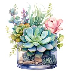 a watercolor painting of succulents and plants in a glass vase on a white background