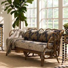 a living room filled with furniture and a potted plant