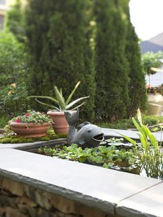 an outdoor garden with potted plants and water features