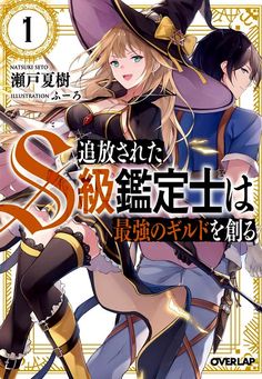 Tsuihou sareta S-kyu kanteishi... New-S.Class novel Anime