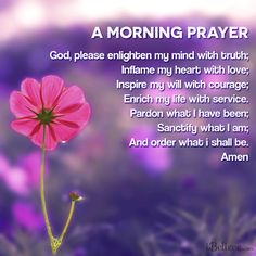 a pink flower sitting in front of a purple background with the words, a morning prayer