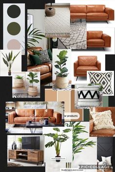 a collage of living room furniture, plants and rugs in shades of brown