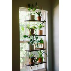 a window sill filled with lots of potted plants