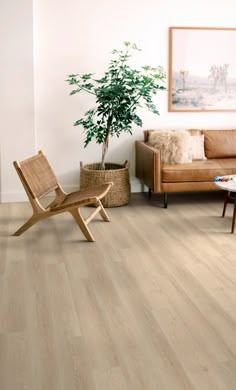 a living room filled with furniture and a potted plant