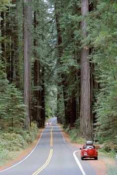 a red car is driving down the road between tall trees