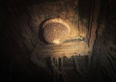 a basket sitting on top of a wooden table in a room filled with wood planks