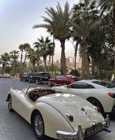 an old white sports car is parked in front of some palm trees on the street