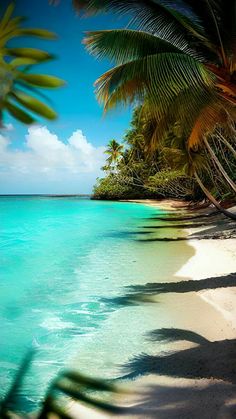 the beach is lined with palm trees and clear water