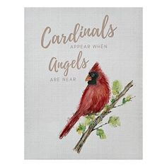 a cardinal bird sitting on top of a tree branch with the words cardinals appear when angels are near