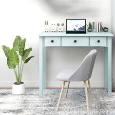 a blue desk with a laptop computer on top of it next to a potted plant