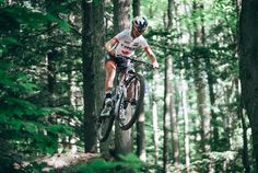 a man on a mountain bike jumping over a log in the middle of a forest