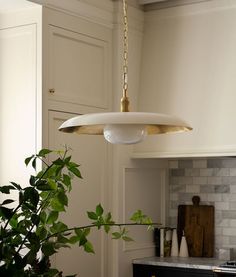 a potted plant sitting on top of a kitchen counter next to a light fixture