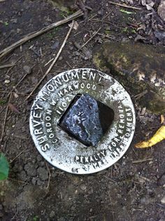 a rock sitting on the ground next to a banana peel and some dirt with writing on it