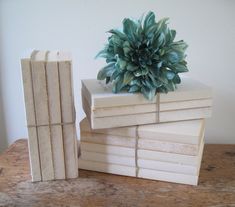 a stack of books sitting on top of a wooden table next to a small potted plant