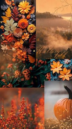 four different pictures with flowers and leaves in the middle one has a pumpkin on it