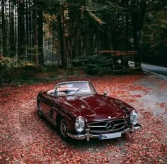 an old mercedes sits in the middle of leaves