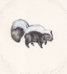 a drawing of two skunks on a white background with a circular frame around them