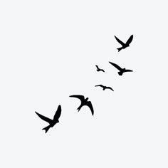 a flock of birds flying in the sky with one bird on its back and two others behind it