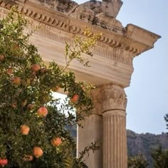 an orange tree with fruit on it in front of a stone arch and mountain range