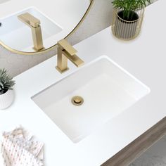 a white sink sitting under a mirror next to a potted plant