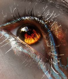 an orange eye is reflected in the reflection of another person's eye with long eyelashes