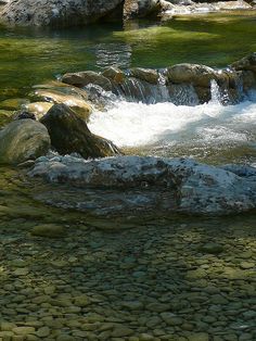 a river running through a lush green forest filled with rocks