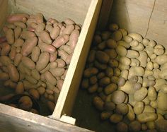 two boxes filled with potatoes sitting next to each other