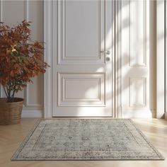 an empty room with a door and potted plant on the floor next to it