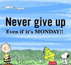 a charlie brown cartoon with the caption never give up