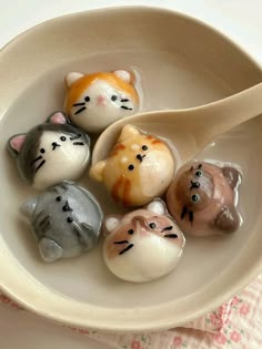 five small cats in a white bowl with a spoon