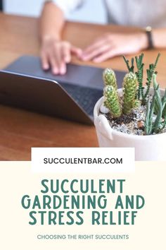 Learn how easy-care succulents can help reduce stress and create a tranquil living space. By incorporating plants and self care into your routine, these resilient plants bring peace and calm to any environment. Succulents also make excellent employee appreciation gifts, offering a thoughtful way to enhance well-being in the workplace. Create your peaceful retreat today with these low-maintenance, stress-relieving plants. Succulents Indoor, Succulent Care