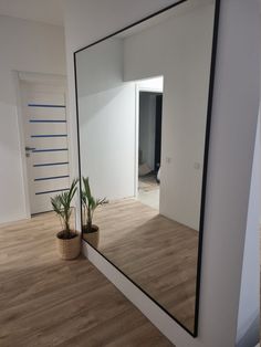 a mirror sitting on top of a wooden floor next to a plant in a pot