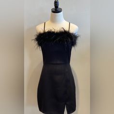 Strut & Bolt New With Tag Feather Trim Off Shoulder Mini Dress Black Mini Dress With Feathers For Party Season, Black Feathered Mini Dress For Party Season, Chic Feathered Dress For Date Night, Fitted Black Mini Dress With Feathers, Elegant Black Mini Dress With Feather Trim, Elegant Black Mini Dress With Feathers, Black Mini Dress With Feathers For Fall, Winter Black Mini Dress With Feather Trim, Black Feathered Dresses For Spring