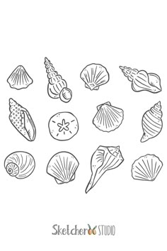 an image of seashells coloring pages