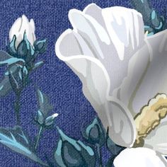 a white flower on a blue background