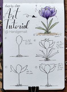 the step - by - step instructions for how to draw flowers in watercolor and ink