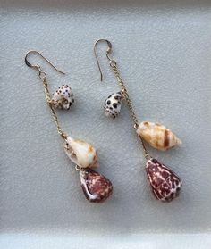 Hawaiian shell collection dangle earrings featuring cat cone, dove, and white-lipped drupe shells, made with 14k gold-filled findings, and shells collected on Kaua'i, measuring 3.8." She’ll Earrings, Seashell Earrings Diy, Shell Earrings Diy, Beach Jewelry Aesthetic, Shell Jewelry Ideas, Seashells Crafts, Shells Craft, Sea Shell Earrings, Sea Shell Jewelry