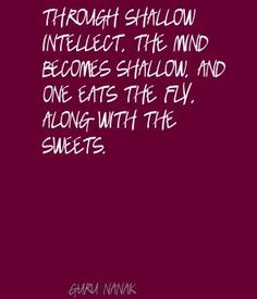 a quote on the side of a purple wall with white writing that reads through shallow interest, the mind becomes hollow and one eats the fly along with the sweets