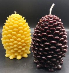 two pine cones sitting next to each other