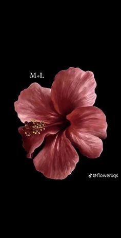 a pink flower on a black background with the words m l written in white letters