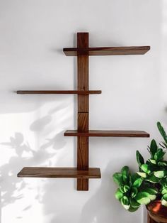 a potted plant sitting next to a wooden shelf