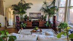 a living room filled with furniture and lots of plants