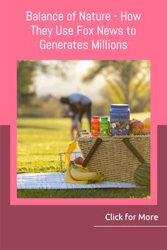 a basket full of food sitting on top of a grass covered field