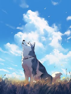 a dog sitting in the grass looking up into the sky