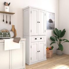 a kitchen with white cupboards and wooden flooring next to a potted plant