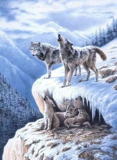 two wolfs standing on the edge of a cliff looking at another one laying down