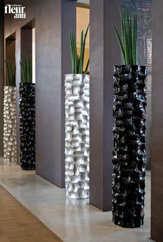 three tall vases with green plants in them on the floor next to each other