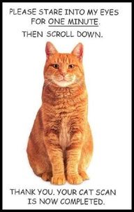 an orange cat sitting on top of a card with words written in the bottom right corner