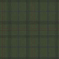 a green and red plaid fabric